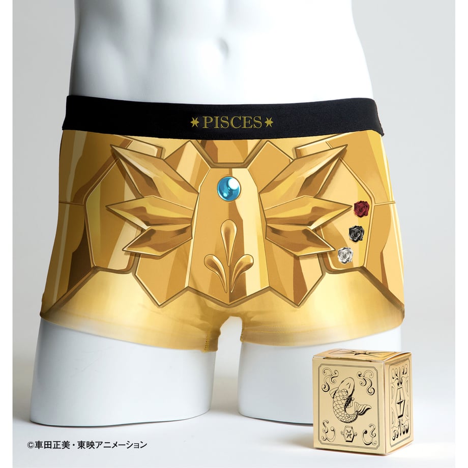 【聖闘士星矢】黄金12星座+青銅5星座コンプリートセット