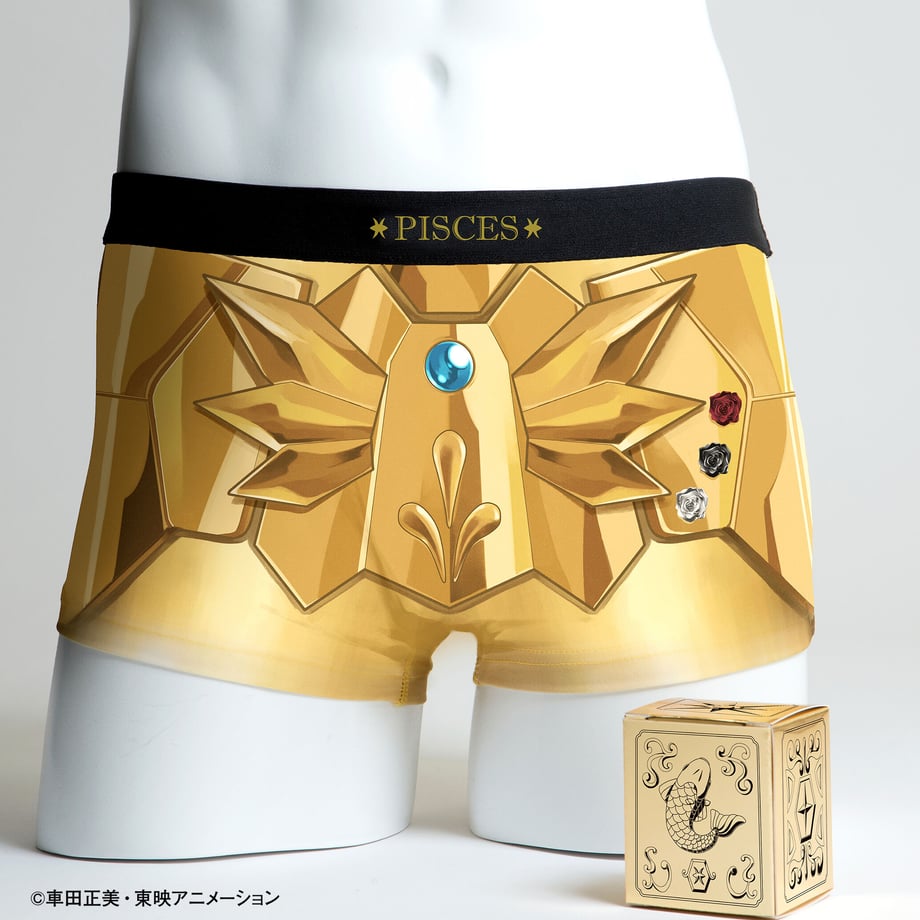 【聖闘士星矢】セイントクロスパンツ12星座セット