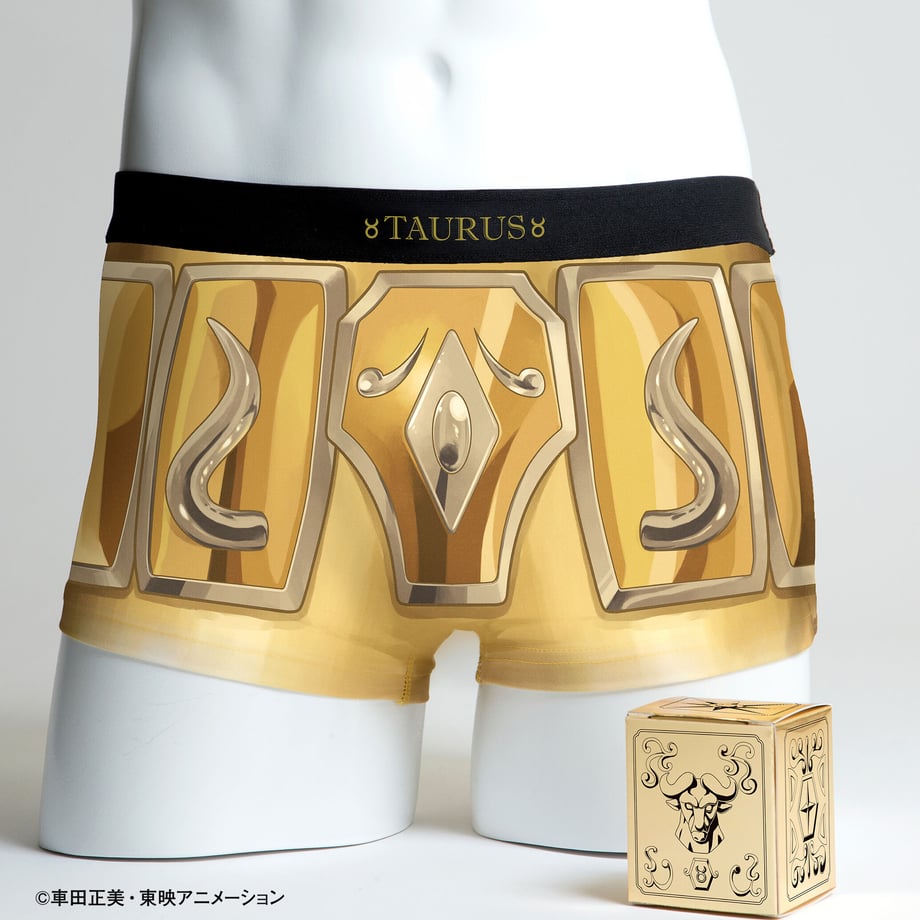 【聖闘士星矢】セイントクロスパンツ12星座セット